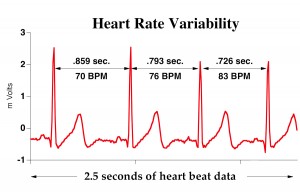 HMI Blog Personality and Heart Rate Variability