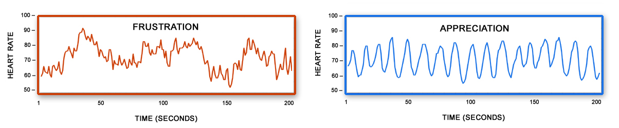 HMI Frustration - Appreciation Heart Rhythm graphs