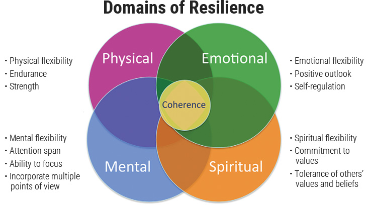 Domains of Resilience