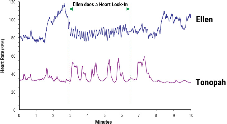 Heart-rhythm patterns of woman and horse